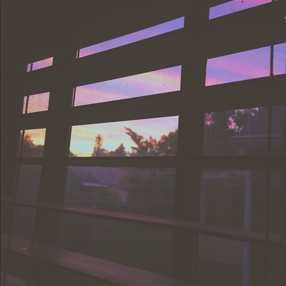 Meet your Posher, Abby - Picture 1 of 1